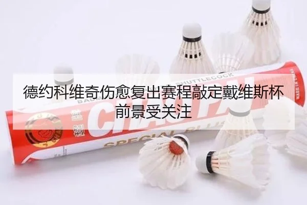 德约科维奇伤愈复出赛程敲定戴维斯杯前景受关注
